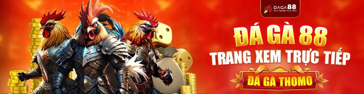 Sàn đấu gà chọi awin trực tiếp